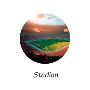 verwendung professioneller gastro highspeedofen umluftofen fussball sport stadion